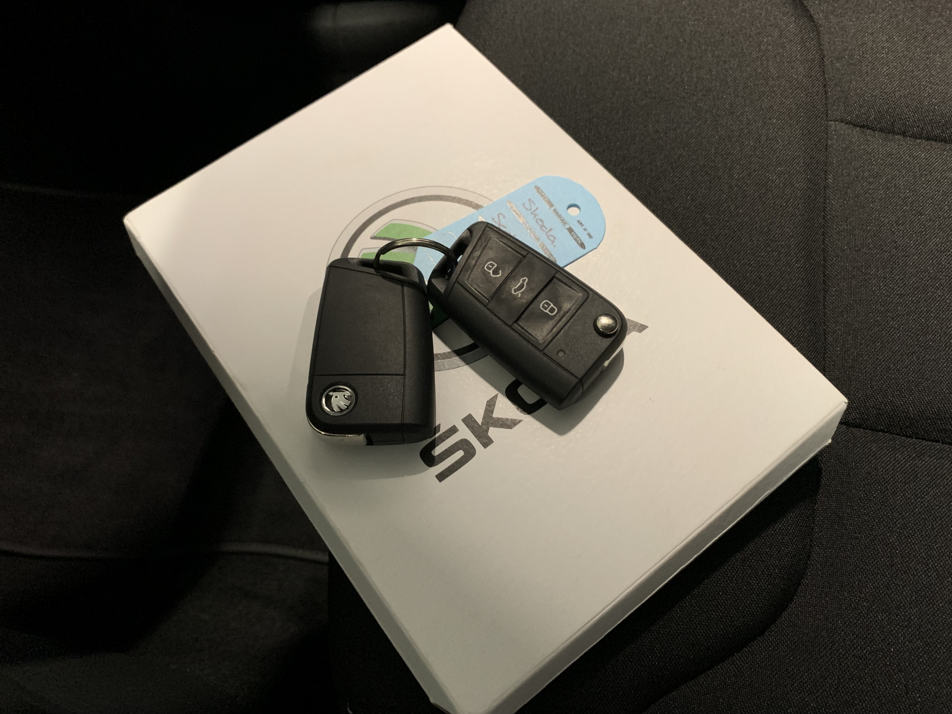 43332495-7.jpg